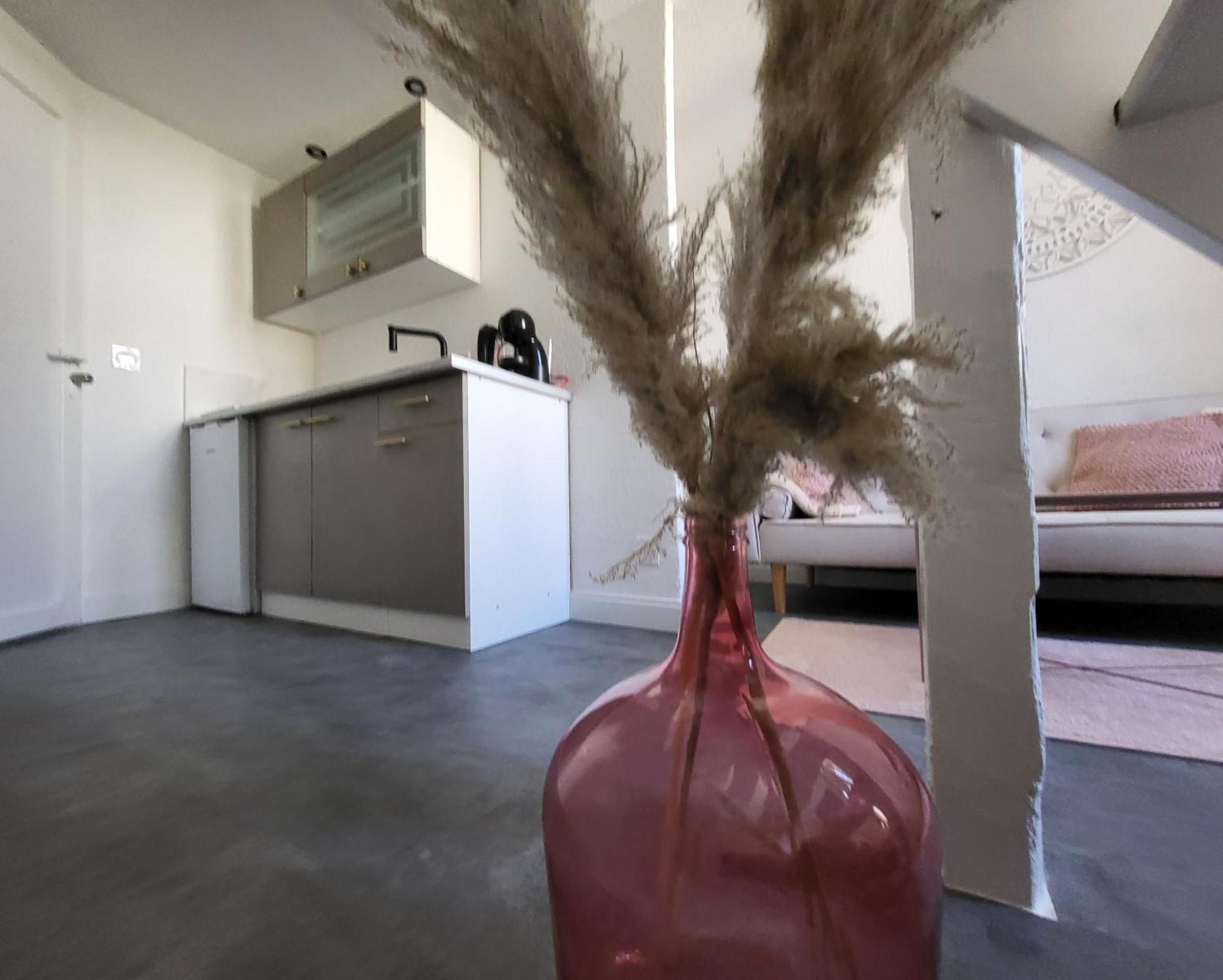 Agence Du Sacre Coeur Immobilier Apartment Perpignan